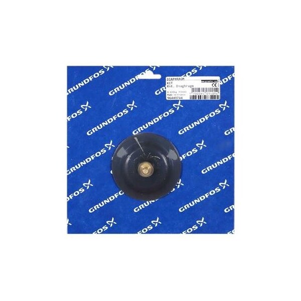 Pump Repair Parts- Kit, diaphragm DMM110-DMM155, DMM Series.